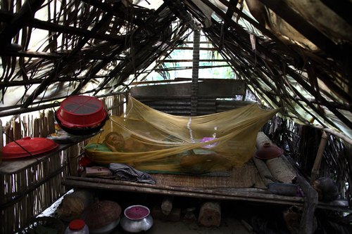 A Climate Refugee 