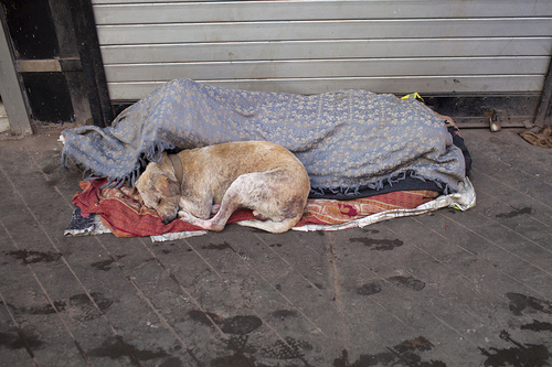 Homeless