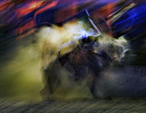 American Bull Rider
