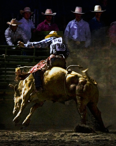 Second Ride