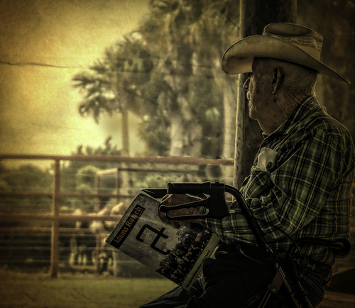 Patriarch of the Cattle Auction