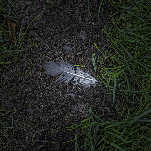 An angel past my way 