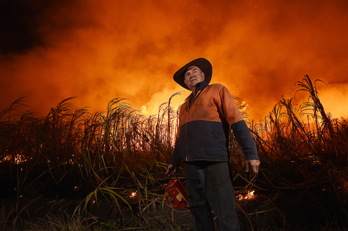 Land of Fire