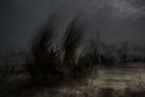 The Burning Bush