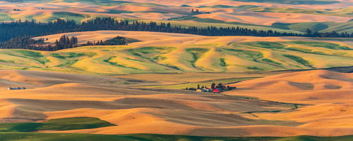 Palouse Panorama