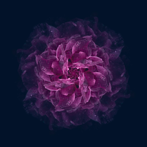 Digital awakening