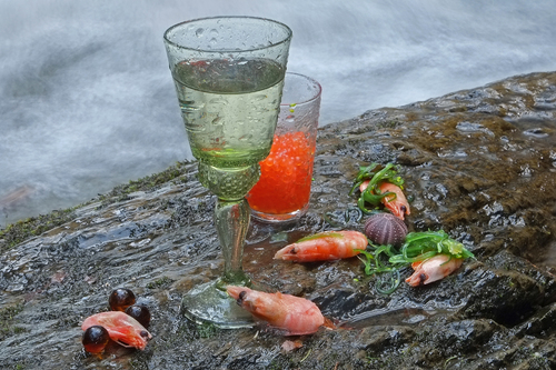 Aquarius feast