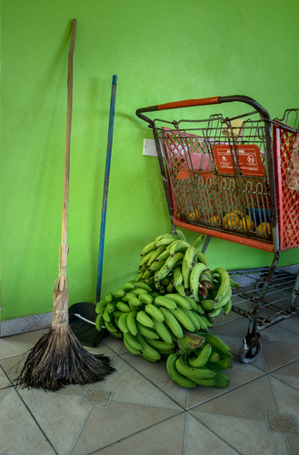 Caribbean broom