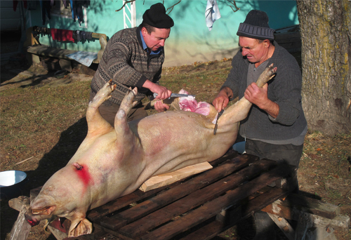 Butchering