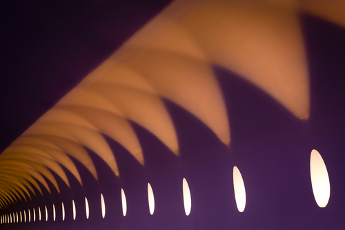 Sharks teeth