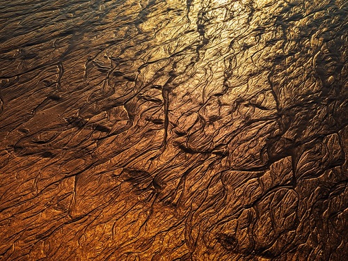 mudflat
