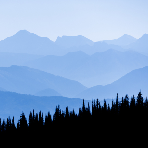 Whitefish Blues