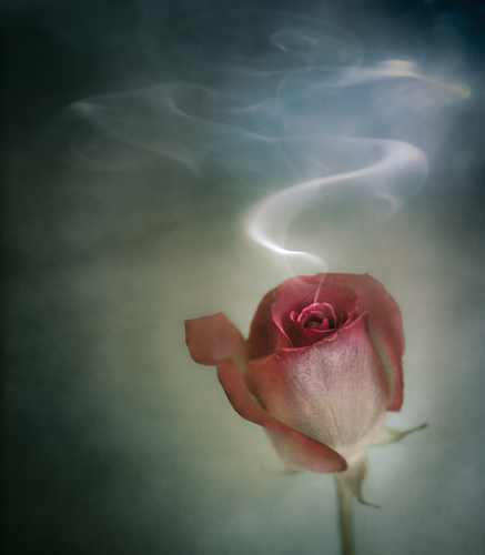 Fragrance