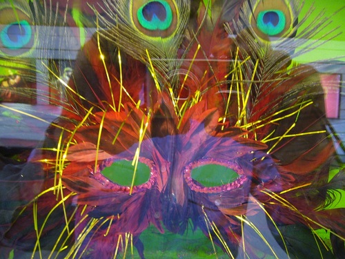 eyes