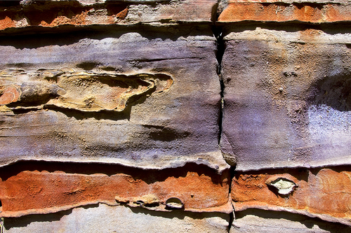 daruwala-pallon_canyon wall