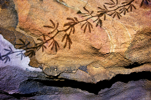 daruwala-pallon_coloured rock