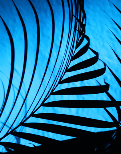 Frondly Descending