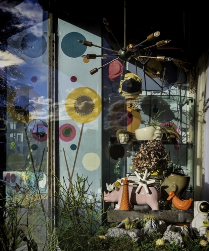 Store Window