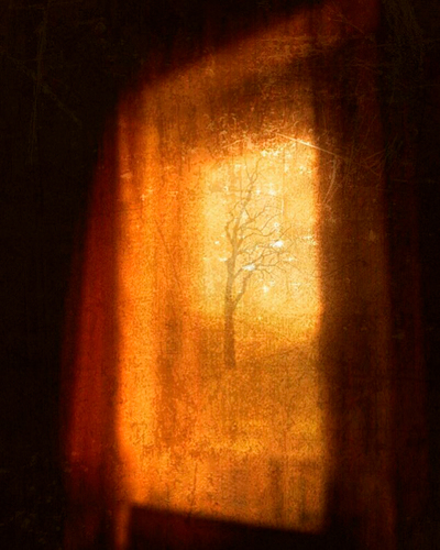 Window