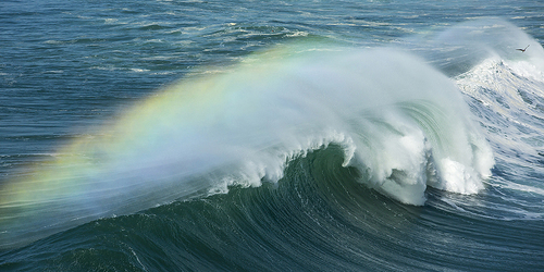 Nazare Wave
