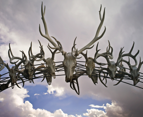 The Skull Arch