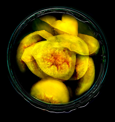 Canned Figs