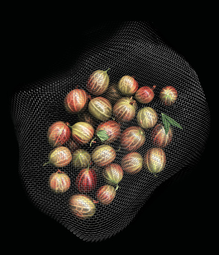 Gooseberries
