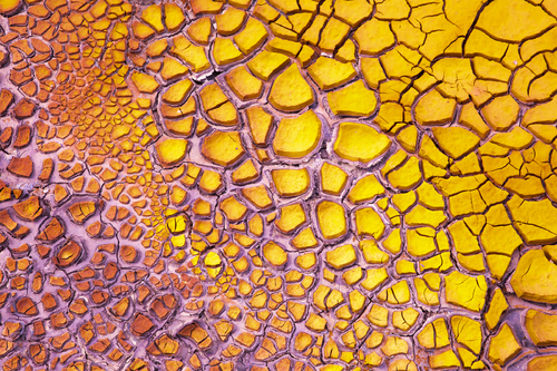 Natural Mosaic #2