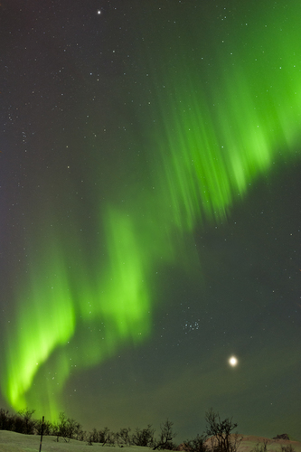 Northern Lights
