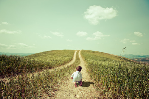 Traveller