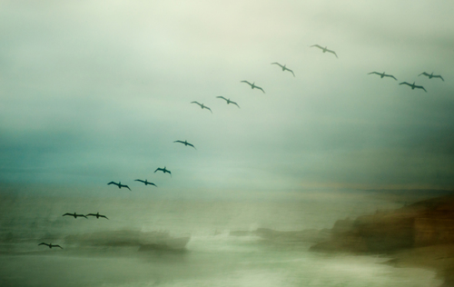 Formation
