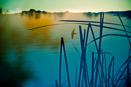 Infinity Lake