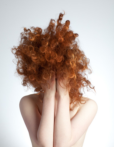 T. tousles