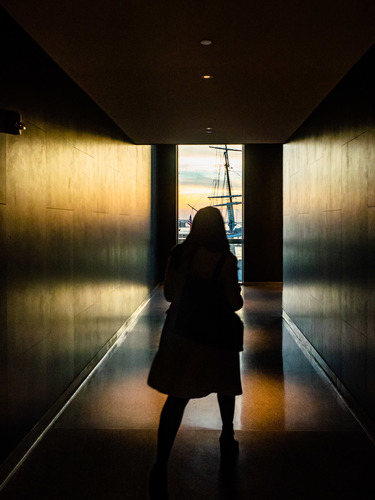 Going Towards the Light