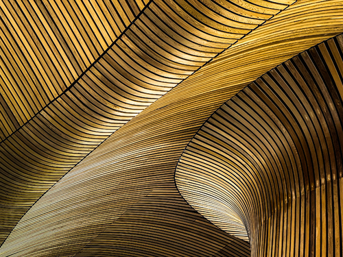 The Senedd Parliament Ceiling