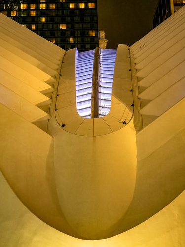 Oculus Skylight