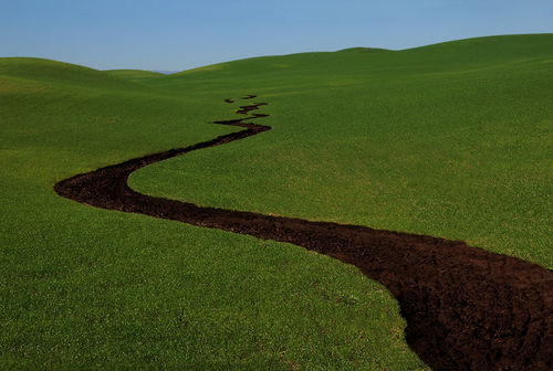 Dunnigan Hills