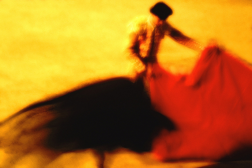 Bullfight