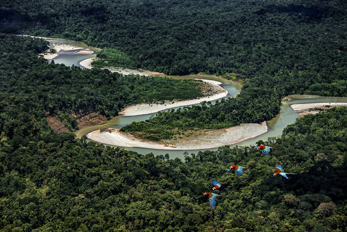 Amazonia