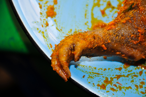 Bush meat