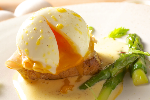 Toast & Egg