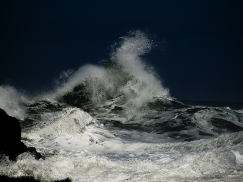 Sea Serpent