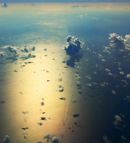 Ocean View