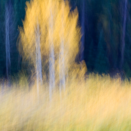 Movement #2
