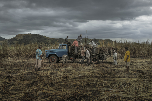 Loading Sugar Cane Truck