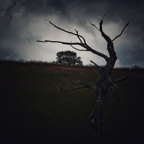 In The Face Of The Storm