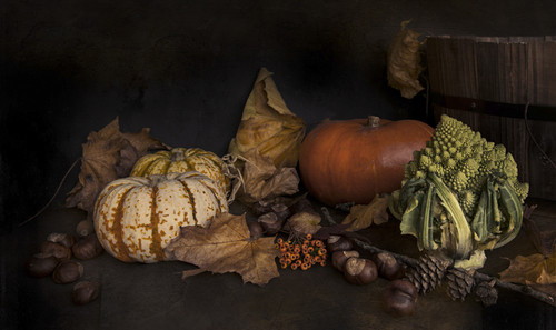 Autumnal Splendour
