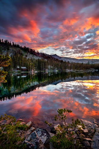 Reflection