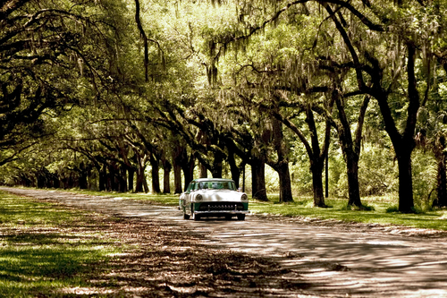 Sunday Drive