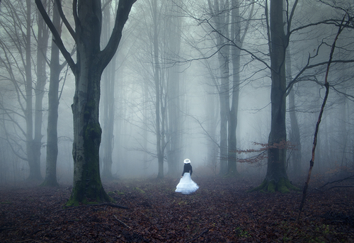 A Moment Lost